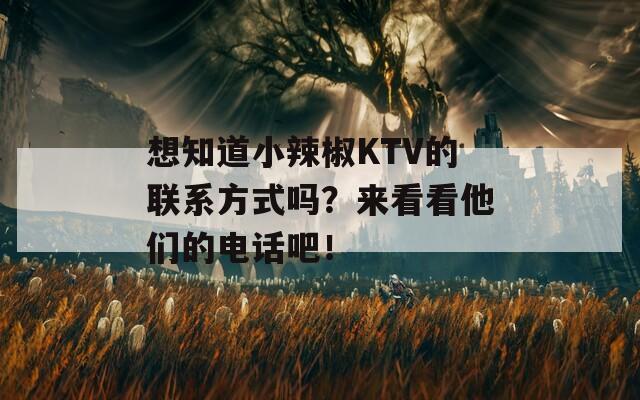 想知道小辣椒KTV的联系方式吗？来看看他们的电话吧！