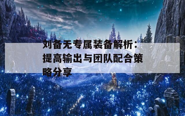 刘备无专属装备解析：提高输出与团队配合策略分享