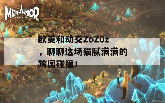 欧美和动交ZoZ0z，聊聊这场猫腻满满的跨国碰撞！