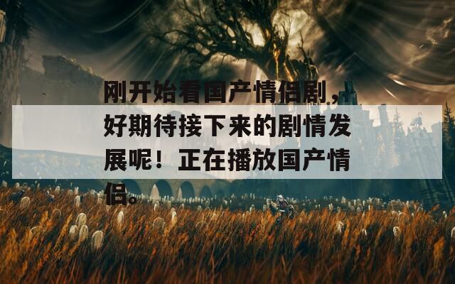 刚开始看国产情侣剧，好期待接下来的剧情发展呢！正在播放国产情侣。