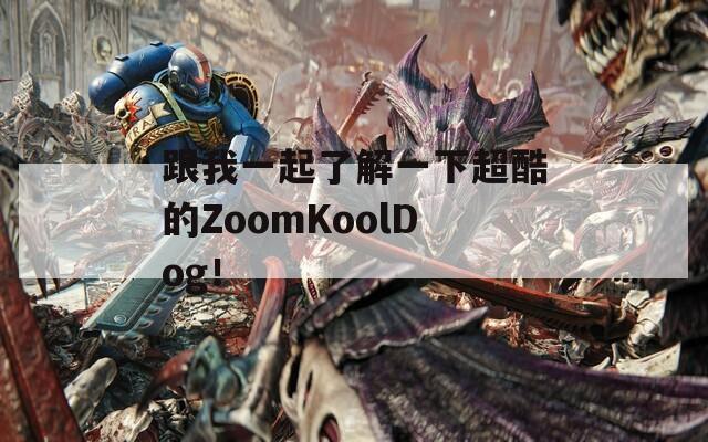 跟我一起了解一下超酷的ZoomKoolDog！