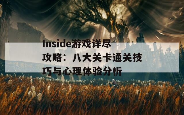 Inside游戏详尽攻略：八大关卡通关技巧与心理体验分析