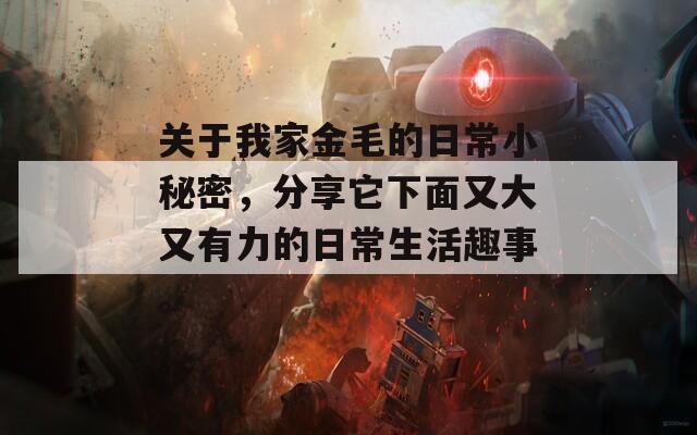 关于我家金毛的日常小秘密，分享它下面又大又有力的日常生活趣事。