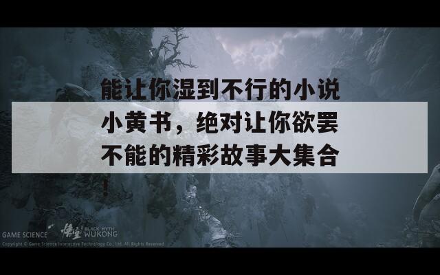 能让你湿到不行的小说小黄书，绝对让你欲罢不能的精彩故事大集合！