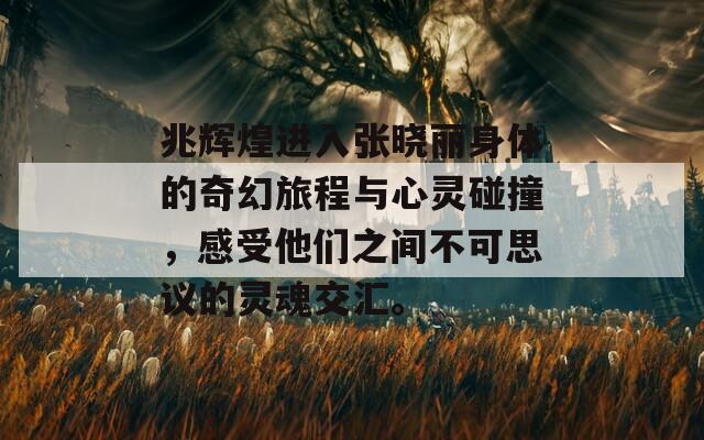 兆辉煌进入张晓丽身体的奇幻旅程与心灵碰撞，感受他们之间不可思议的灵魂交汇。