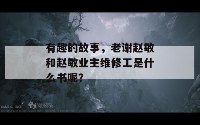 有趣的故事，老谢赵敏和赵敏业主维修工是什么书呢？