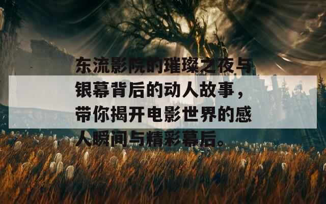 东流影院的璀璨之夜与银幕背后的动人故事，带你揭开电影世界的感人瞬间与精彩幕后。