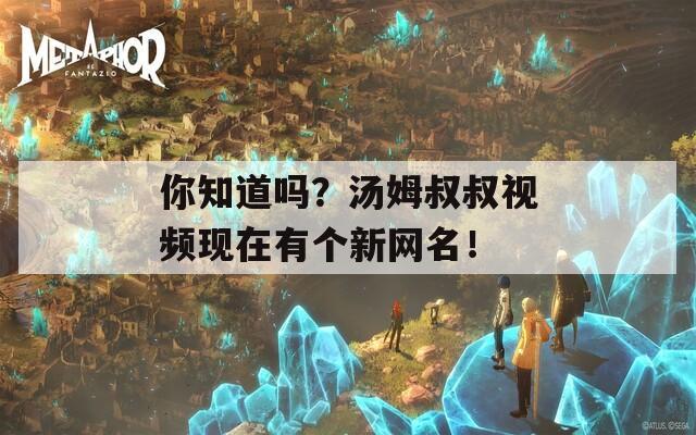 你知道吗？汤姆叔叔视频现在有个新网名！