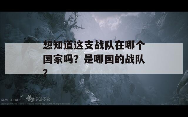 想知道这支战队在哪个国家吗？是哪国的战队？