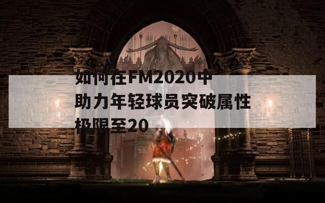 如何在FM2020中助力年轻球员突破属性极限至20