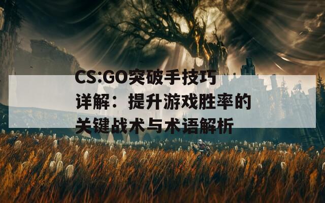 CS:GO突破手技巧详解：提升游戏胜率的关键战术与术语解析