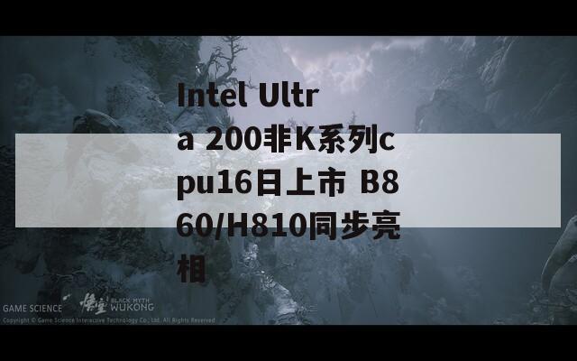 Intel Ultra 200非K系列cpu16日上市 B860/H810同步亮相