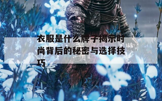 衣服是什么牌子揭示时尚背后的秘密与选择技巧