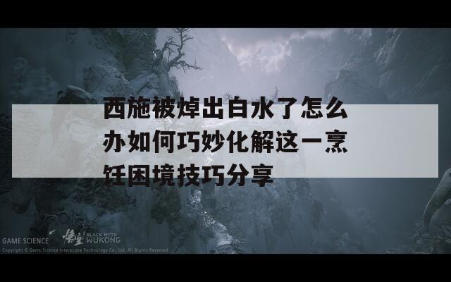 西施被焯出白水了怎么办如何巧妙化解这一烹饪困境技巧分享