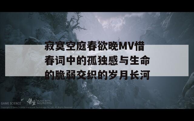 寂寞空庭春欲晚MV惜春词中的孤独感与生命的脆弱交织的岁月长河