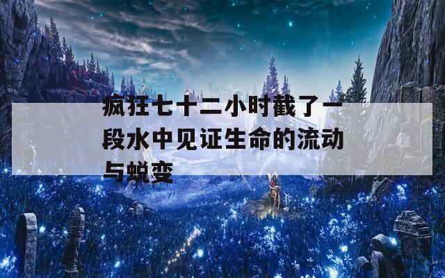 疯狂七十二小时截了一段水中见证生命的流动与蜕变