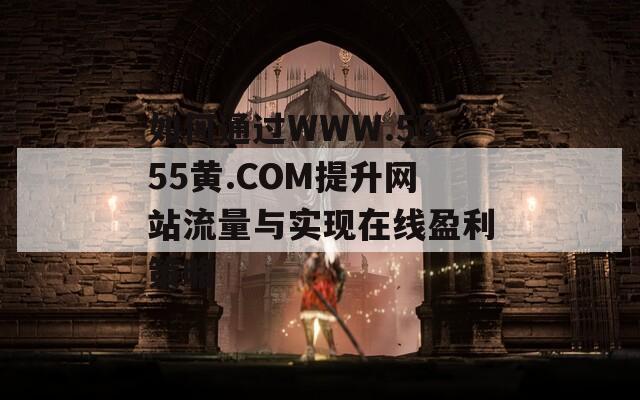 如何通过WWW.5555黄.COM提升网站流量与实现在线盈利策略