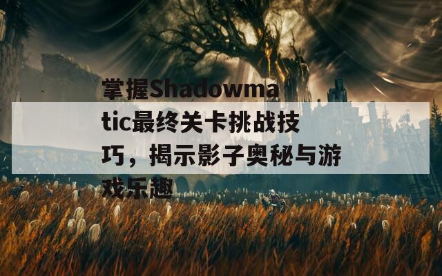 掌握Shadowmatic最终关卡挑战技巧，揭示影子奥秘与游戏乐趣