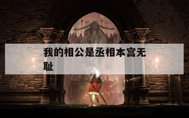 我的相公是丞相本宫无耻