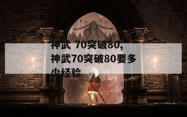 神武 70突破80,神武70突破80要多少经验