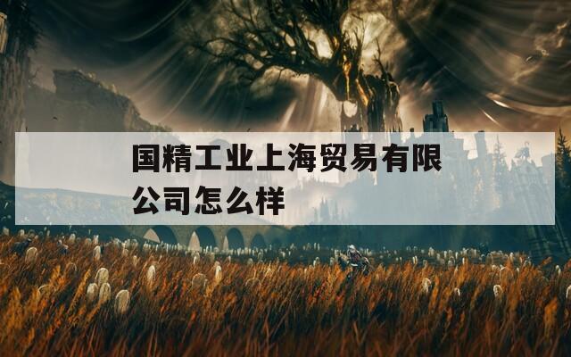 国精工业上海贸易有限公司怎么样