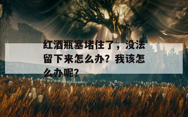 红酒瓶塞堵住了，没法留下来怎么办？我该怎么办呢？