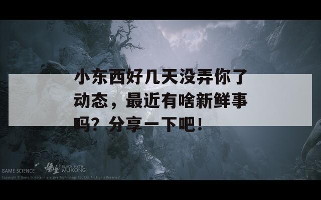 小东西好几天没弄你了动态，最近有啥新鲜事吗？分享一下吧！