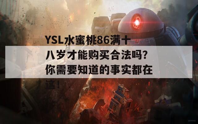 YSL水蜜桃86满十八岁才能购买合法吗？你需要知道的事实都在这！