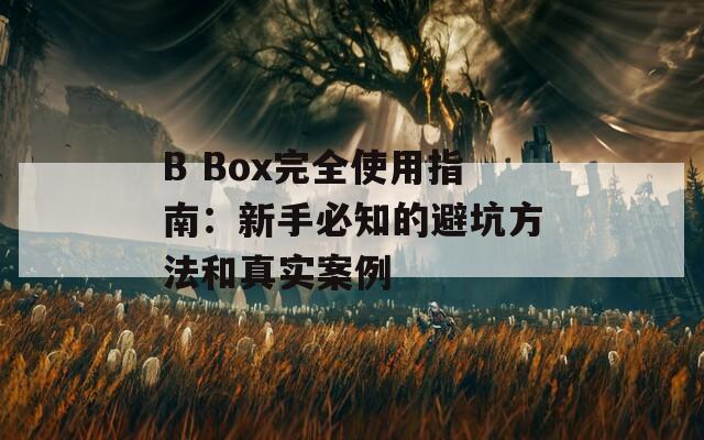 B Box完全使用指南：新手必知的避坑方法和真实案例