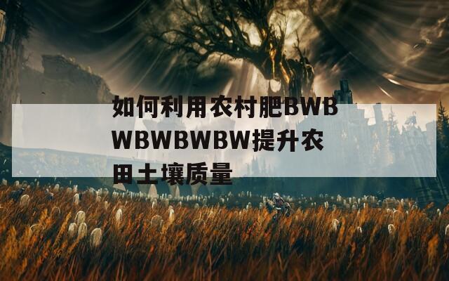 如何利用农村肥BWBWBWBWBW提升农田土壤质量