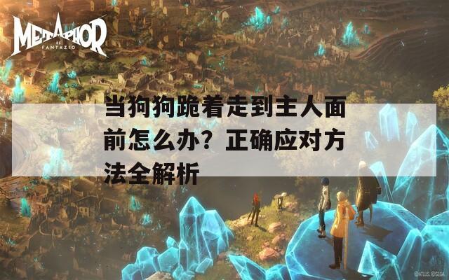 当狗狗跪着走到主人面前怎么办？正确应对方法全解析