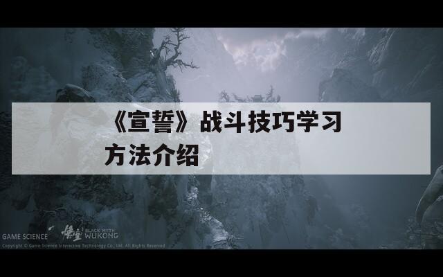 《宣誓》战斗技巧学习方法介绍