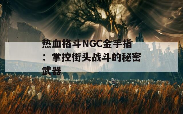 热血格斗NGC金手指：掌控街头战斗的秘密武器