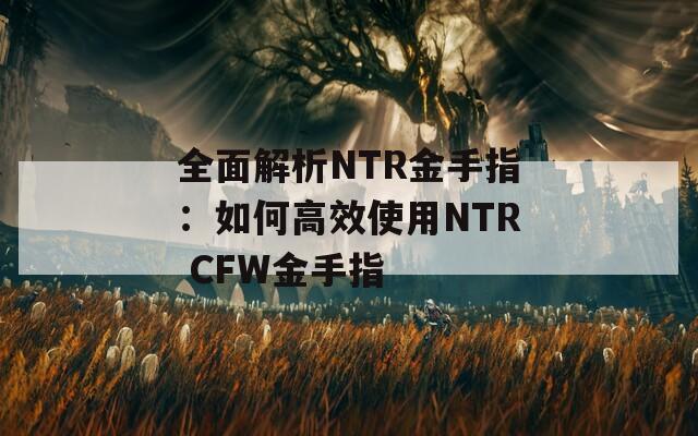 全面解析NTR金手指：如何高效使用NTR CFW金手指