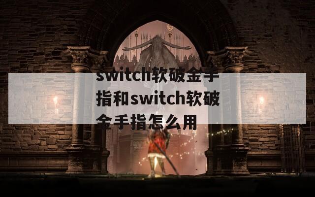 switch软破金手指和switch软破金手指怎么用