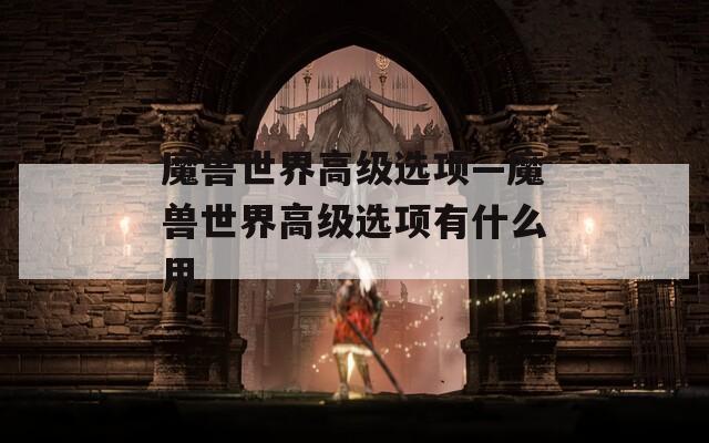 魔兽世界高级选项—魔兽世界高级选项有什么用