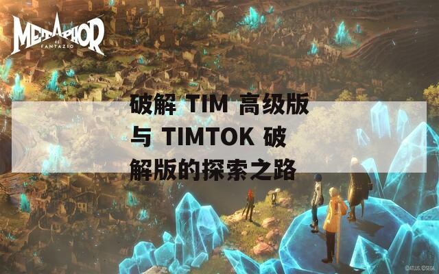 破解 TIM 高级版与 TIMTOK 破解版的探索之路