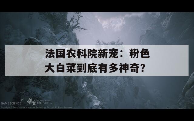 法国农科院新宠：粉色大白菜到底有多神奇？