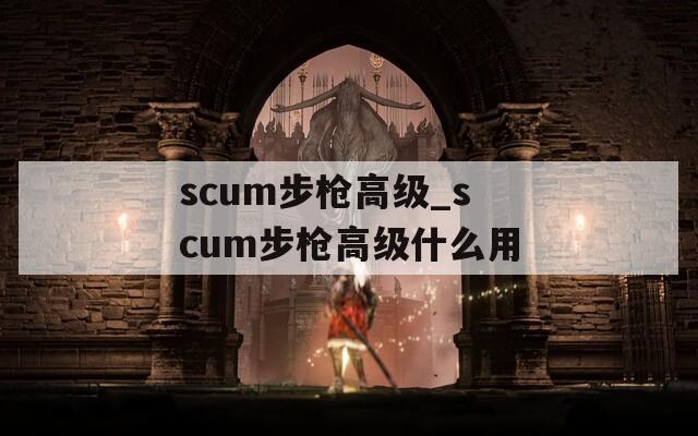 scum步枪高级_scum步枪高级什么用