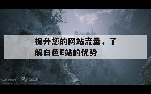 提升您的网站流量，了解白色E站的优势